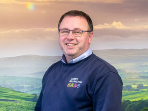 Supporting image for story: Forage analysis is vital for correct ewe nutrition