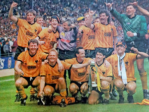 Supporting image for story: Tottenham v Wolves: Marching back down Wembley Way