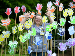 Supporting image for story: Rainbow display a ray of hope at Compton Care