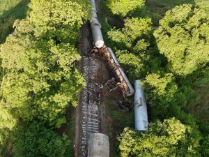 Supporting image for story: Train kills two wild elephants in Sri Lanka as fuel tankers derail