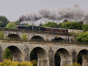 Supporting image for story: Train fan captures super steam image