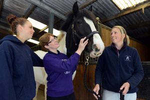 Supporting image for story: Shropshire equestrian centre opens stables for fun open day