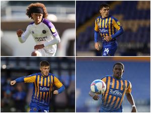 Supporting image for story: Shrewsbury Town's loan rangers trying to make a mark at Meadow
