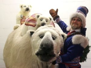 Supporting image for story: Meet giant animatronic polar bear at Winter Festival celebrations coming to Telford Centre