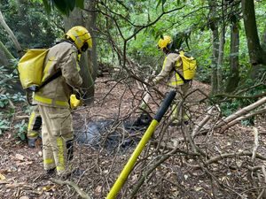 Supporting image for story: Firefighters appeal to public not to light fires in dry woodland after blaze