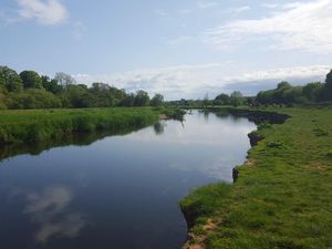 Supporting image for story: More than 100 pesticides pollute Europe’s waterways, says study