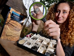Supporting image for story: Families invited to get up close and personal to Shropshire's 'geodiversity' at fossils event