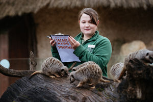 Jenny Albutt, African Village keeper, taking stock and feeding the meerkats at West Midland Safari Park