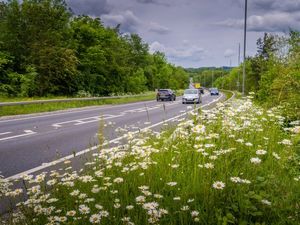 Supporting image for story: Bypass to be closed every night for the next month


