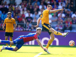 Supporting image for story: Sasa Kalajdzic hoping to strike up Wolves partnership