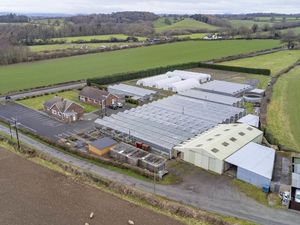 Supporting image for story: Shrewsbury garden centre on market for £795,000  