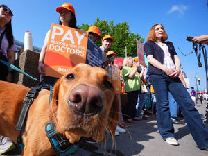 Supporting image for story: Shropshire hospital trust reports reveal impact of July’s resident doctors’ strike on services and finances