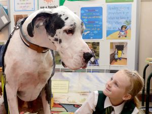 Supporting image for story: It's bark to school for reading dog Hector
