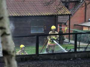 Supporting image for story: Only two cats survived blaze at cattery