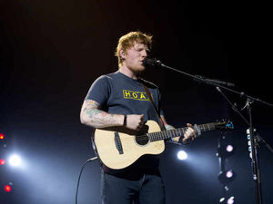 Supporting image for story: Pop acts help boost figures at NEC group