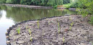 Some of the work at Dothill Nature Reserve
