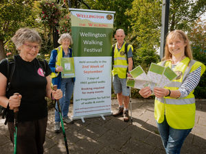 Supporting image for story: Walking festival going ahead with fewer activities 