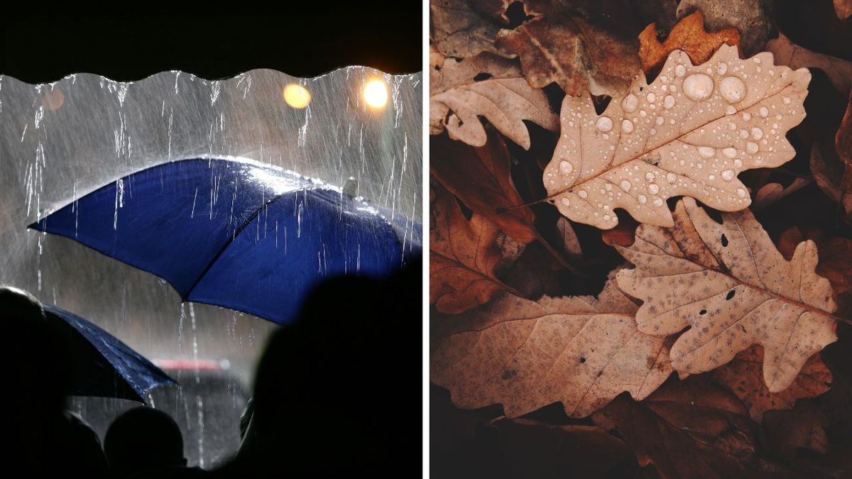 Date autumn starts as Hurricane Erin forecast to bring band of rain to UK