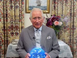 Supporting image for story: Charles tells of Prince George learning about climate change