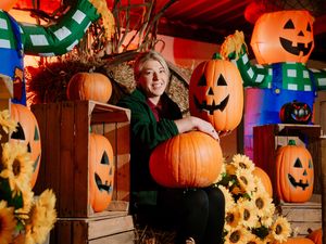 Supporting image for story: Shropshire farm goes pumpkin crazy