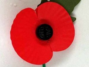 Supporting image for story: Wednesbury war memorial poppy field a step closer