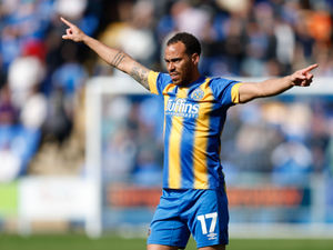 Supporting image for story: Shrewsbury 1 Portsmouth 1 - player ratings