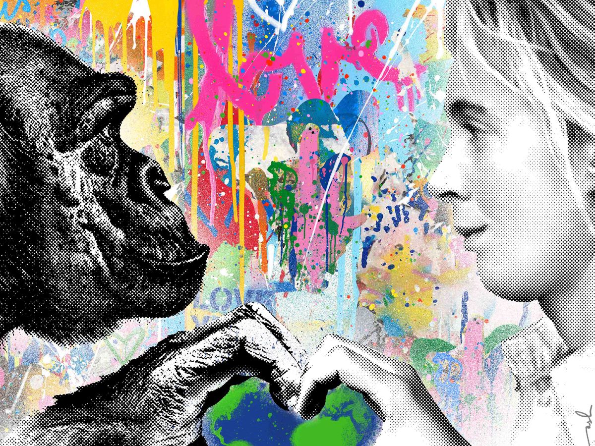 Charity auction to be held in honour of environmental activist Jane Goodall