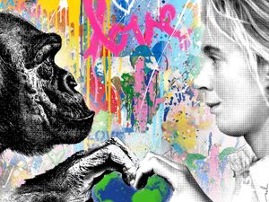 Supporting image for story: Charity auction to be held in honour of environmental activist Jane Goodall