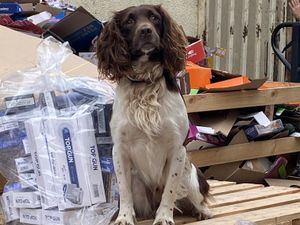 Supporting image for story: Seventy cannisters of laughing gas and 60,000 cigarettes seized in Walsall after raid with sniffer dogs