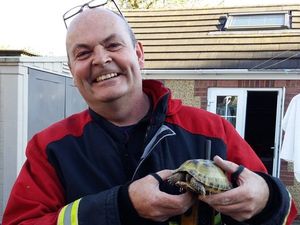 Supporting image for story: 'Not just fires': 999 crew to the rescue of tortoise trapped between two houses in Dudley - with PICTURES 