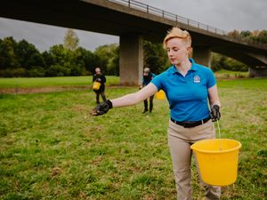 Supporting image for story: Seeds planted for new wildflower meadow