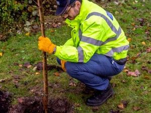 Supporting image for story: More trees for Shropshire to help reduce flooding risks