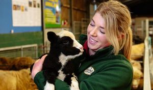 Supporting image for story: Lambing live at Oswestry's Park Hall this February half-term
