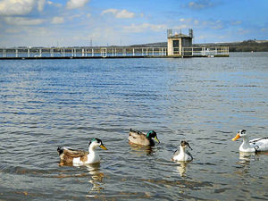 Supporting image for story: What a difference a year makes at Chasewater