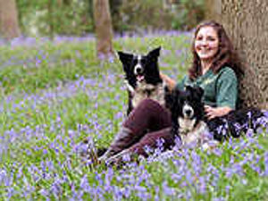 Supporting image for story: Bluebells blooming early
