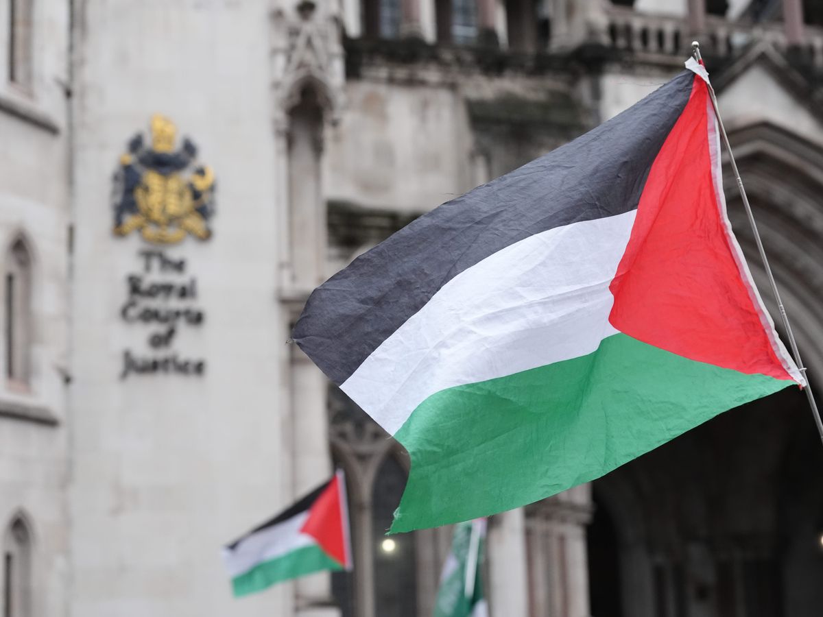 Palestine Action cases adjourned until appeal concludes, Chief Magistrate says