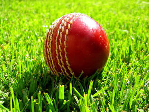 Supporting image for story: Shropshire fall
to T20 defeats