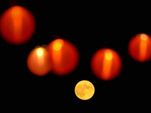 Supporting image for story: Removal of lanterns from Poundland shelves praised