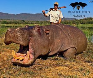 Advertising the services of the Blackthorn Safari company