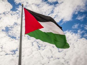 Supporting image for story: Woman, 74, arrested in Belfast for wearing Palestine Action T-shirt released