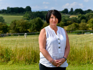 Supporting image for story: Tougher powers to tackle livestock worrying welcomed