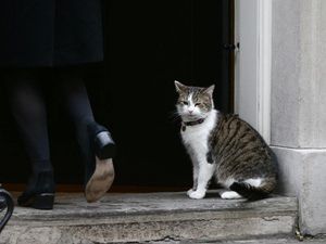 Supporting image for story: People share their annoyances with #ThingsIWouldBan