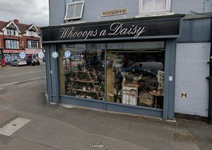 Fall in love with Woops a Daisy flowers