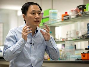 Supporting image for story: Chinese ‘designer baby’ claim condemned by British scientists