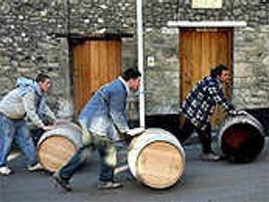 Supporting image for story: Feeling ill? Oh, yeah...