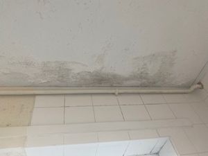 Supporting image for story: Market Drayton family's plea for help over boys' health in mould-ridden flat 