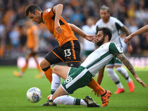 Supporting image for story: Wolves blog: Leo Bonatini is the right man up front