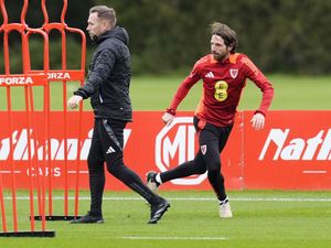 Supporting image for story: Craig Bellamy says ‘romantic’ Montenegro return for Joe Allen would be a gamble
