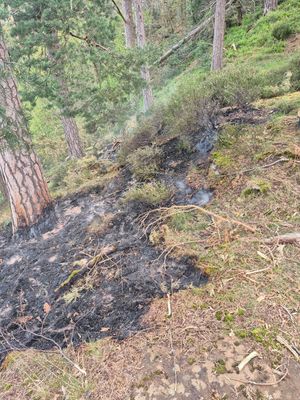 The fire spread to grass and undergrowth. Picture: Bridgnorth Fire Station.