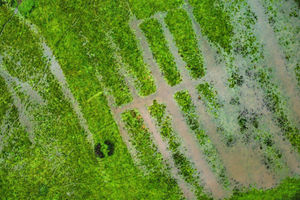 Flooded fields near Leominster